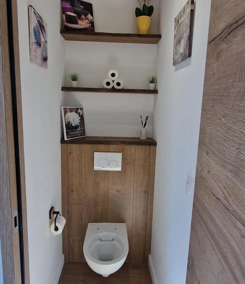Le Cosy Du Theatre, Duplex Confortable Au Centre De Chambery